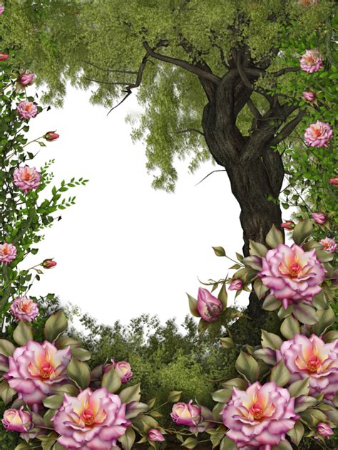 Nature Bg By Collect And Creat On Deviantart Flower Frame Art