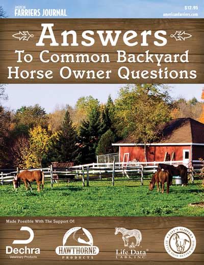 Answers To Common Backyard Horse Owner Questions