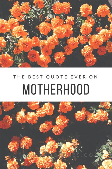 Best Motherhood Quote Ever With Images Quotes About Motherhood