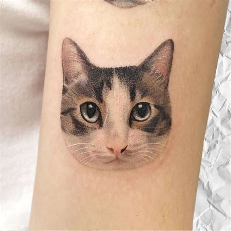 Small Realistic Cat Tattoo Cute Animal Tattoos Cute Cat Tattoo Cats