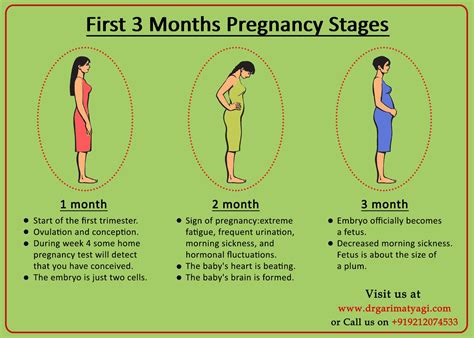 pregnancy symptoms after 1 month of conception pregnancy sympthom