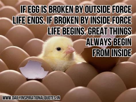 If Egg Is Broken By Outside Force Inspiring Quotes