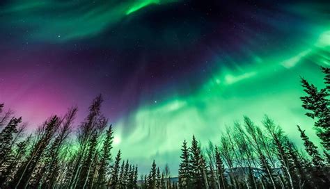 Where To See The Northern Lights Rol Cruise Blog