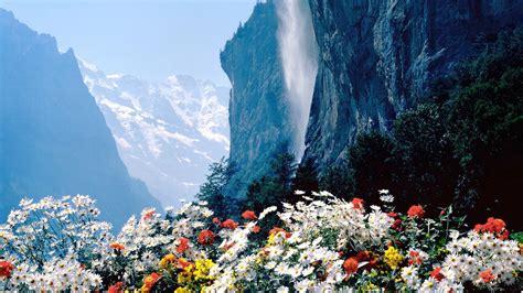 1920x1080 Flowers Mountains Cliff Laptop Full Hd 1080p Hd 4k Wallpapers