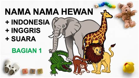 85+ Gambar Hewan Beserta Namanya Paling Hist - Gambar Pixabay