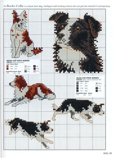 14 count, 14.51w x 20.14h cm 16 count, 12.70w x 17.62h… Good Absolutely Free Border Collies cross Concepts Your Border Collie hails from the borderl ...