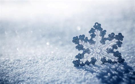 Snowflake Ice Snow Winter Wallpaper Nature And Landscape