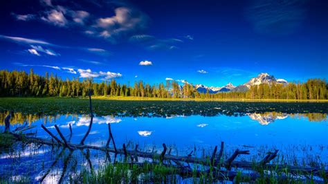 Landscape, Flowers, Field, Nature Background Images, Windows 10