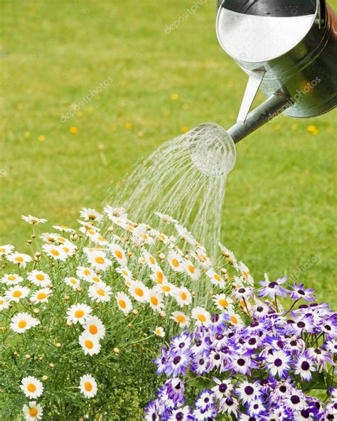 Watering Summer Flowers — Stock Photo © Springfield 11540903