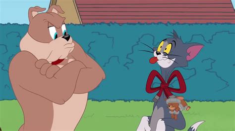 Tom And Jerry Show A Better Cat 2018 720p Youtube