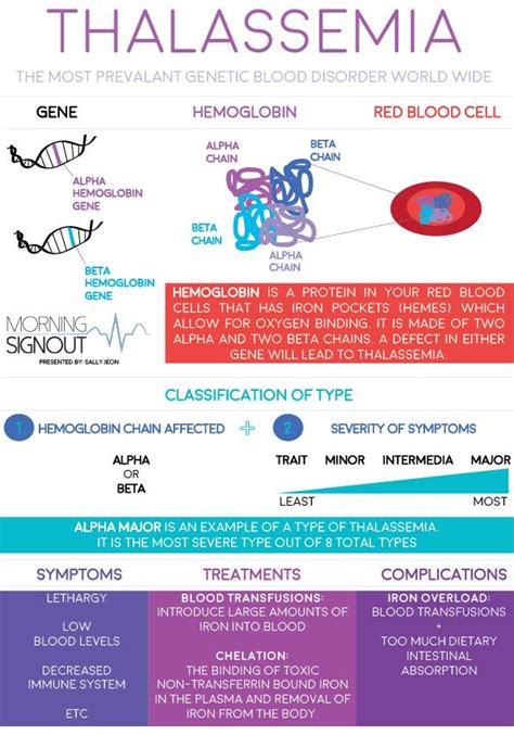 Β thalassemia minor is caused by a β/βo or β/β+ genotype. Thalassemia: Rusting to Death?! - Morning Sign Out