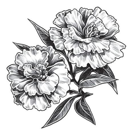 Carnation Temporary Tattoo Etsy Flower Tattoo Shoulder Carnation