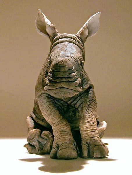 140 Rhinos Ideas Rhino Rhinoceros Animals Wild