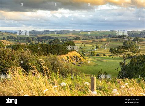 Typical Rural Landscape In New Zealand Stock Photo Alamy