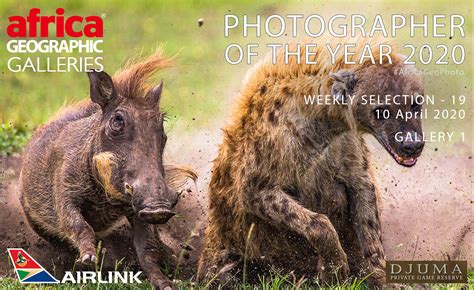 Photographer Of The Year 2020 Weekly Selection Week 19 Gallery 1