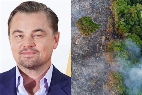 Leonardo Dicaprio Donates N18 Billion To Help Fight Amazon Rainforest Fires
