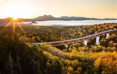 Mikuni Pass A Sea Of Trees Hokkaido Love