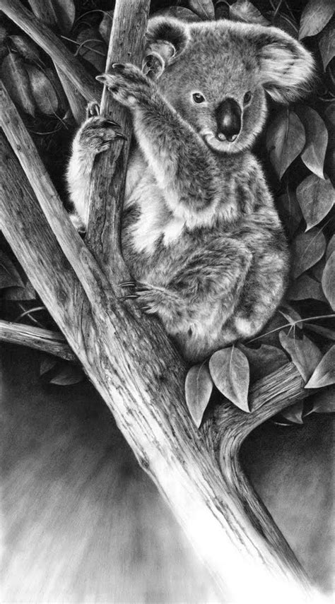 See more ideas about animal drawings, drawings, realistic animal drawings. Hyper-Realistic Wildlife | Pencil drawings of animals ...