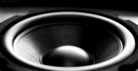 40 Speakers Subwoofer Animated  Images At Best Animations