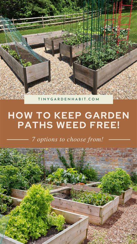 Keep Garden Paths Weed Free Best Mulches To Prevent Weeds Artofit