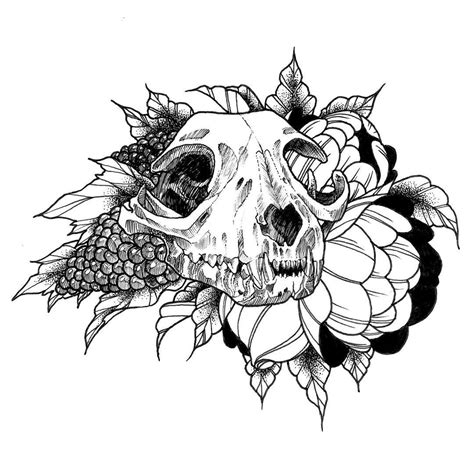 Animal skull drawing animal skull tattoos animal skulls animal drawings ram tattoo tatoo art tattoo sketches cat skull rocking a flower crown. Wolf Skull Drawing at GetDrawings | Free download