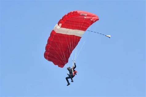Red Lions Spotted Conducting Free Fall Jumps In The Heartland The