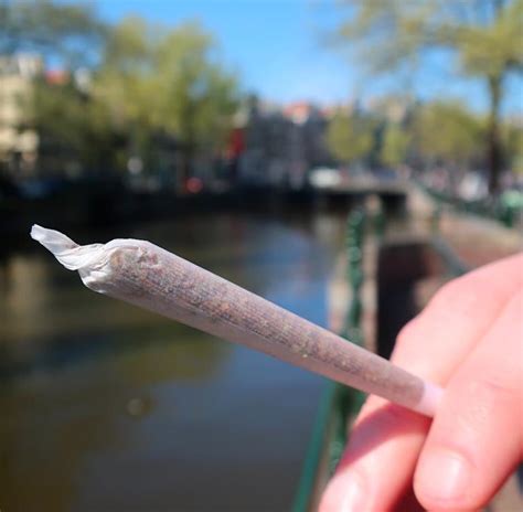 10 drugs facts and statistics from the netherlands you didn t know