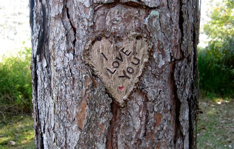The best selection of royalty free heart carved on tree vector art, graphics and stock illustrations. I Love You Heart Carved for Tree Pottery Sign