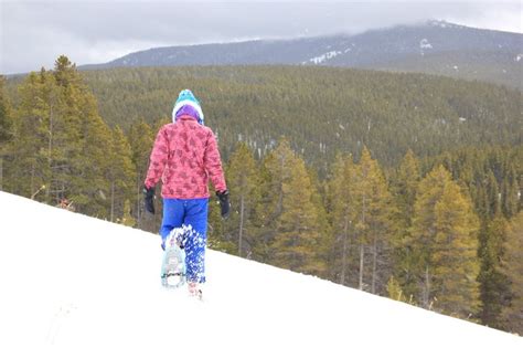 Explore The Beauty Of Winter In Bighorn National Forest Wyoming