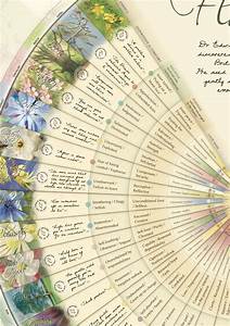Printable Bach Flower Remedies Chart Pdf Printable Word Searches