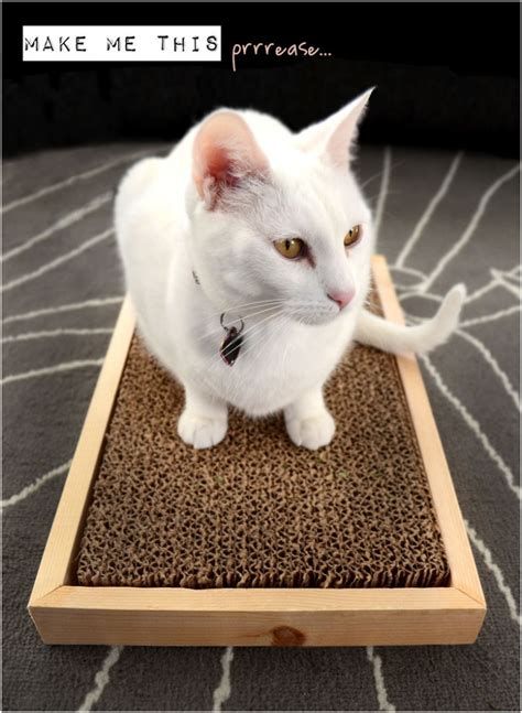 If you're trying to find a cat a home, it's much easier if the cat is already spayed or neutered. Top 10 DIY Cat Scratching Posts and Pads - Top Inspired