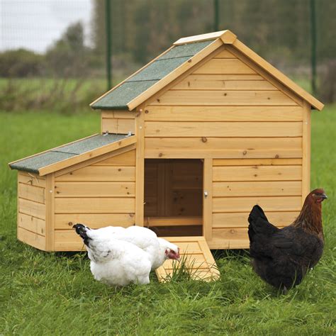 Poulailler Chicken Coops