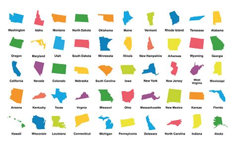 United States Of America 50 States Vector Illustration Stock Illustration - Download Image Now ...