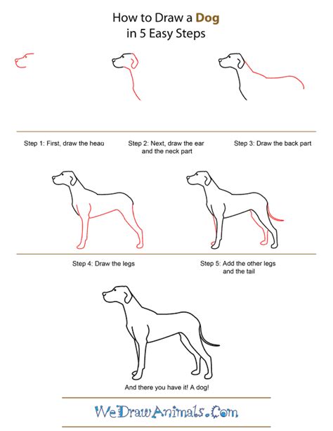 Start drawing the line structure. 40 simple dog drawing to Follow and Practice