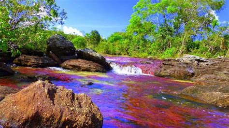 Caño Cristales El Río De Colores De Colombia La Verdad Noticias