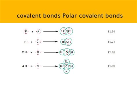 Which Of The Following Covalent Bonds Is The Most Polar