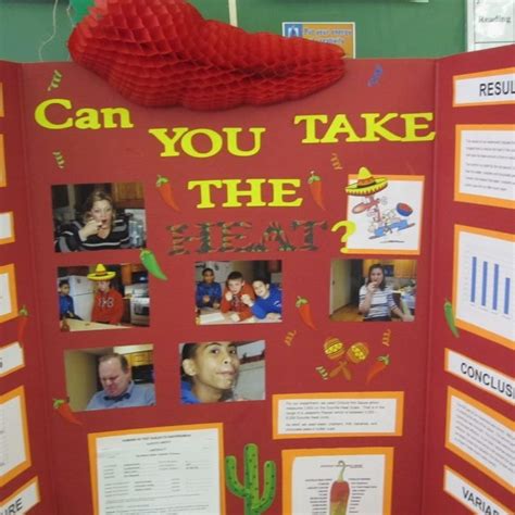 10 Most Recommended 6th Grade Science Fair Projects Ideas 2023
