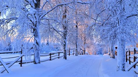 Winter Country Road Wallpapers 4k Hd Winter Country Road Backgrounds