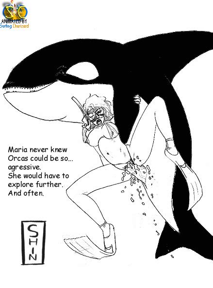 Rule 34 Animated Killer Whale Surfing Charizard Tagme 244155