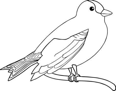 The Bird Coloring Page