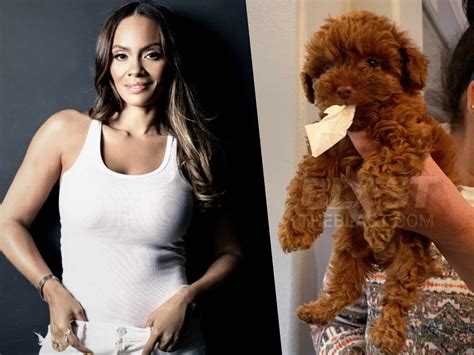 ‘basketball Wives Star Evelyn Lozada Demands Investigation Into