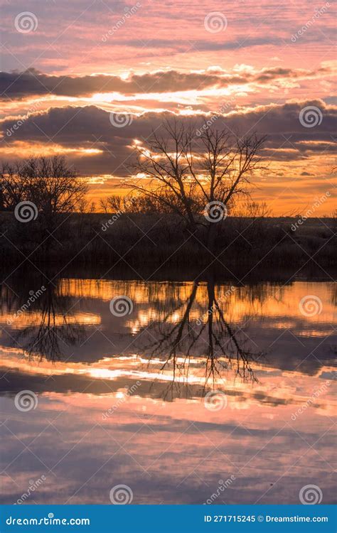 Beautiful Sunset Reflection In A Pond Stock Image Image Of Sunset