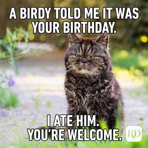 40 Of The Funniest Happy Birthday Memes Readers Digest