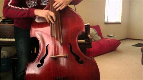 5 String Upright Bass Ross Doublebass 1 Youtube