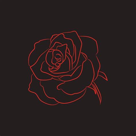 Best Black And White Red Rose Drawings Illustrations
