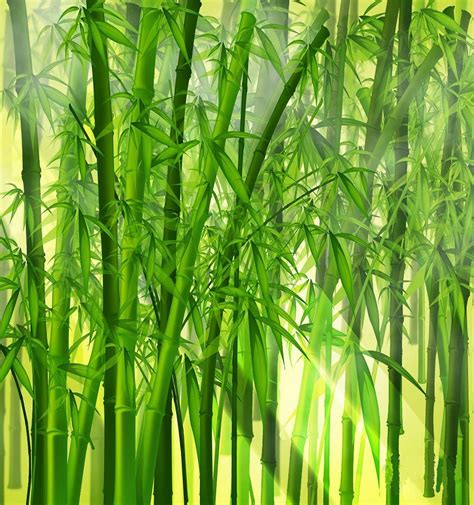 Japanese Bamboo Art Wallpapers Top Free Japanese Bamboo Art