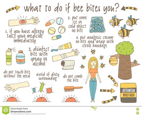 Infographic About What To Do If Bee Bites You Stock Vector