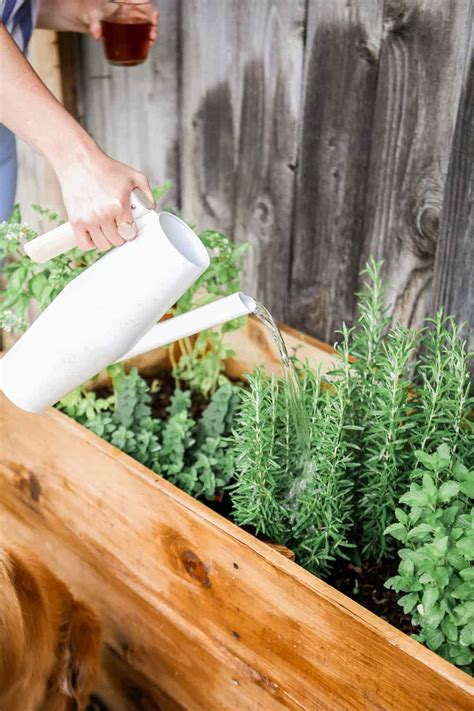 Diy Wooden Herb Garden Planters For Less Than 100 College Housewife