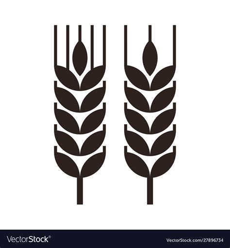 Wheat Grain Icon Royalty Free Vector Image Vectorstock