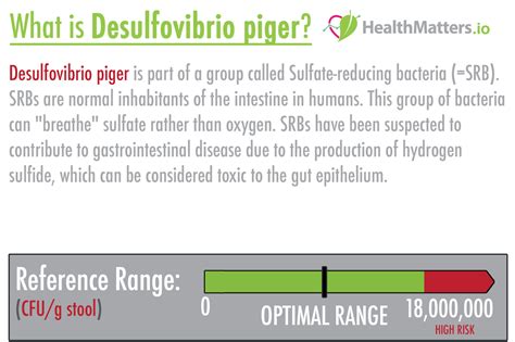 What Is Desulfovibrio Piger High And Low Values Lab Results